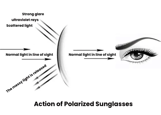 action of polarized sunglasses