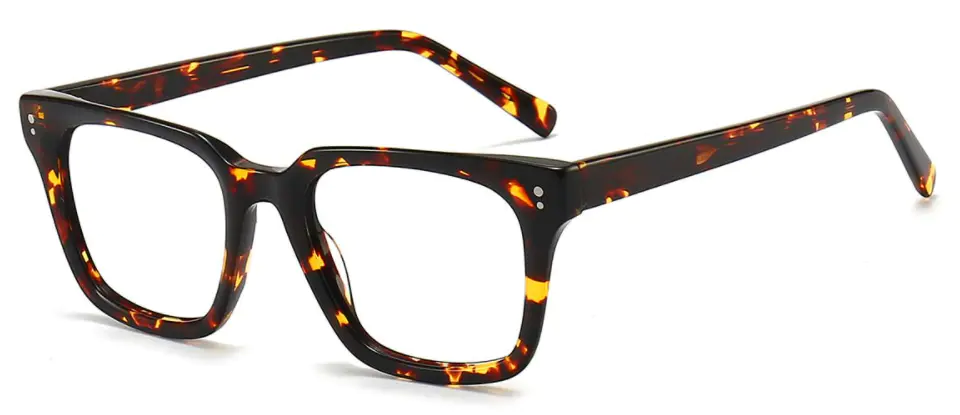 Jivanta: Square Tortoiseshell Eyeglasses
