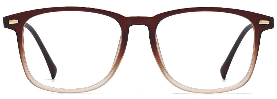Nellie: Rectangle Brown Glasses