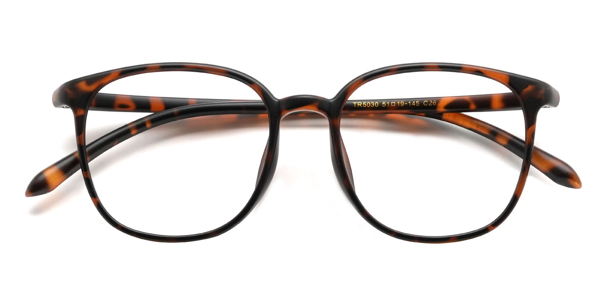 Tortoiseshell Alijah Glasses - Square Glasses