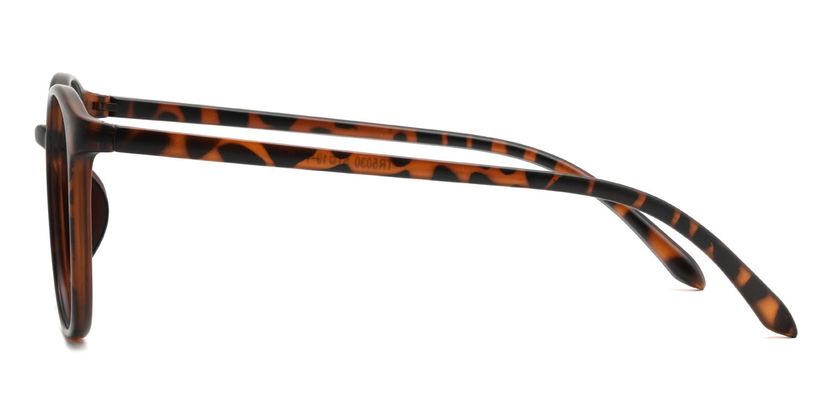 Tortoiseshell Alijah Glasses - Square Glasses