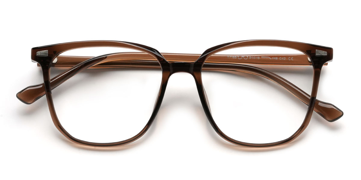 Brown Ellery Glasses - Square Glasses