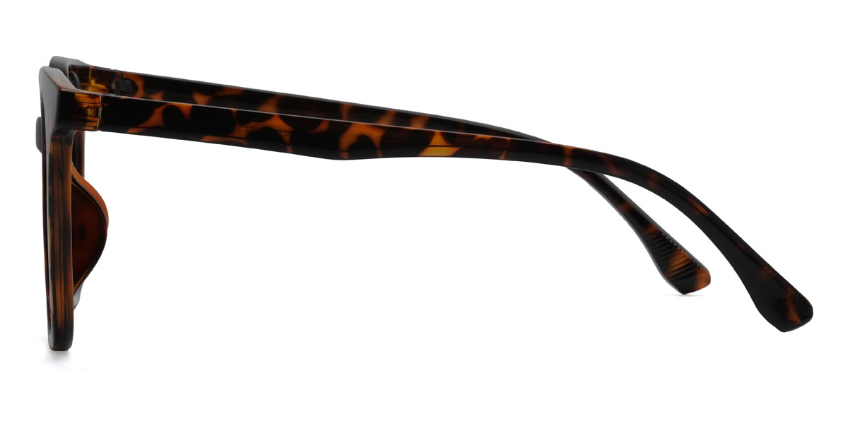 Tortoiseshell Duncan Glasses - Square Glasses