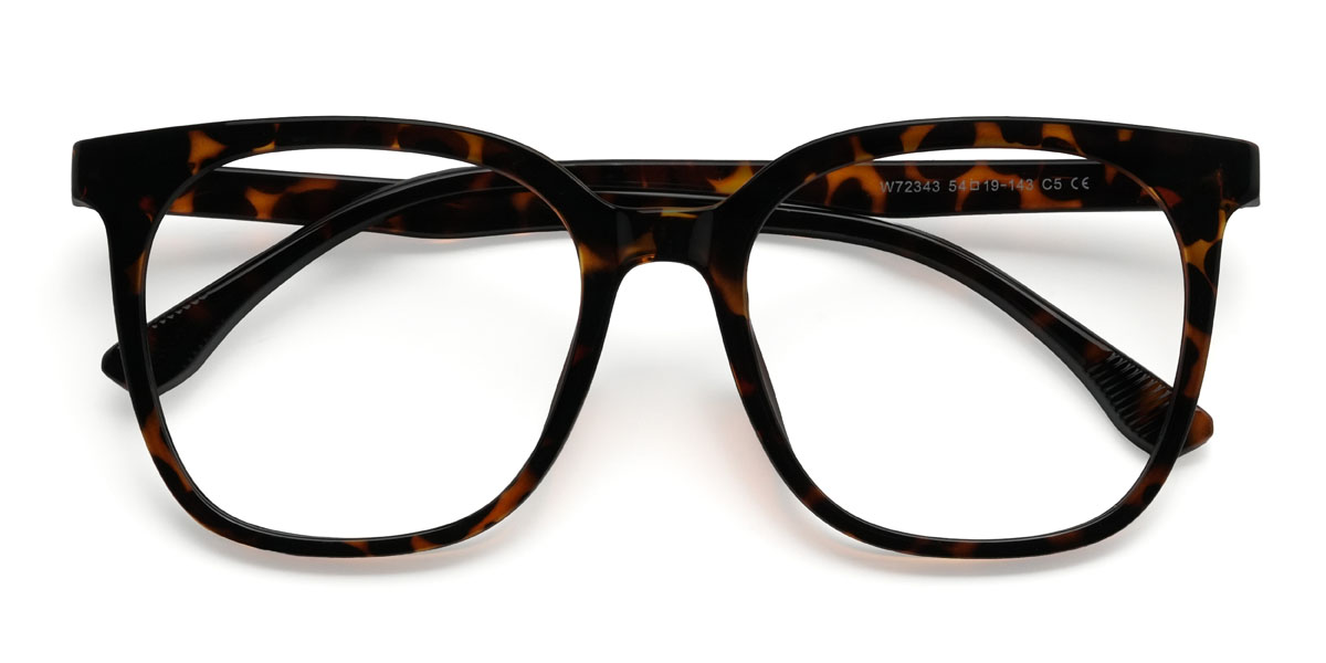 Tortoiseshell Duncan Glasses - Square Glasses