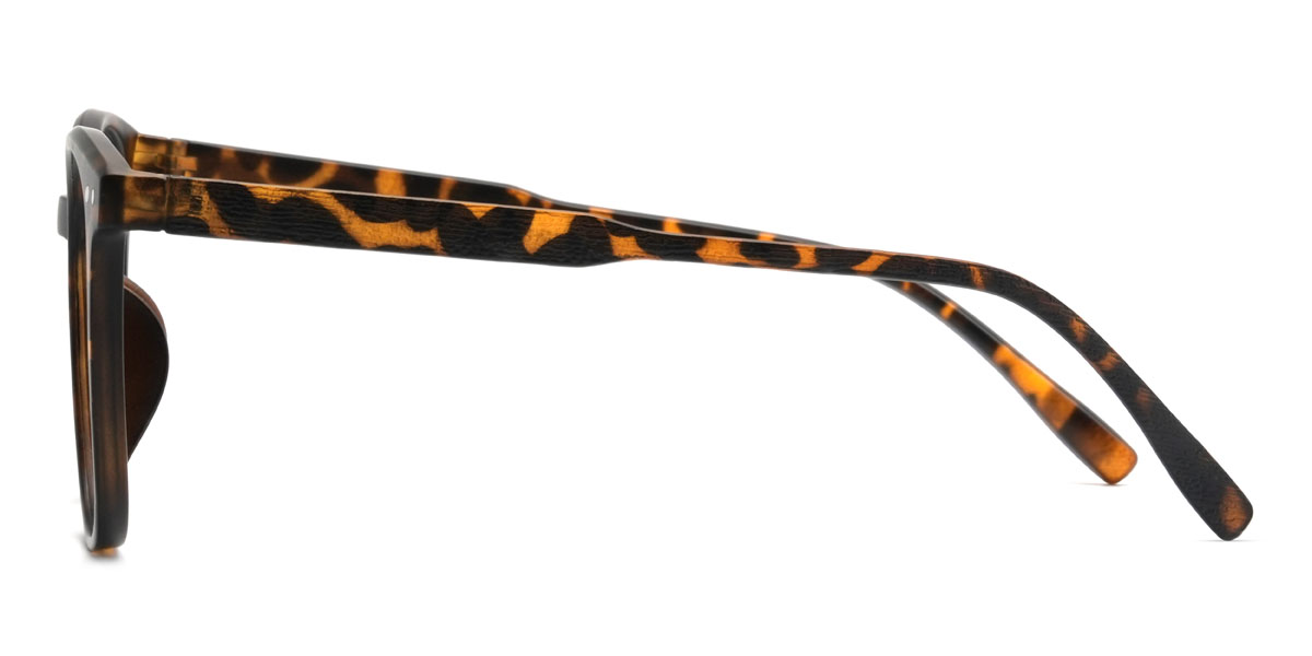 Écaille Brinley Lunettes - Square Glasses