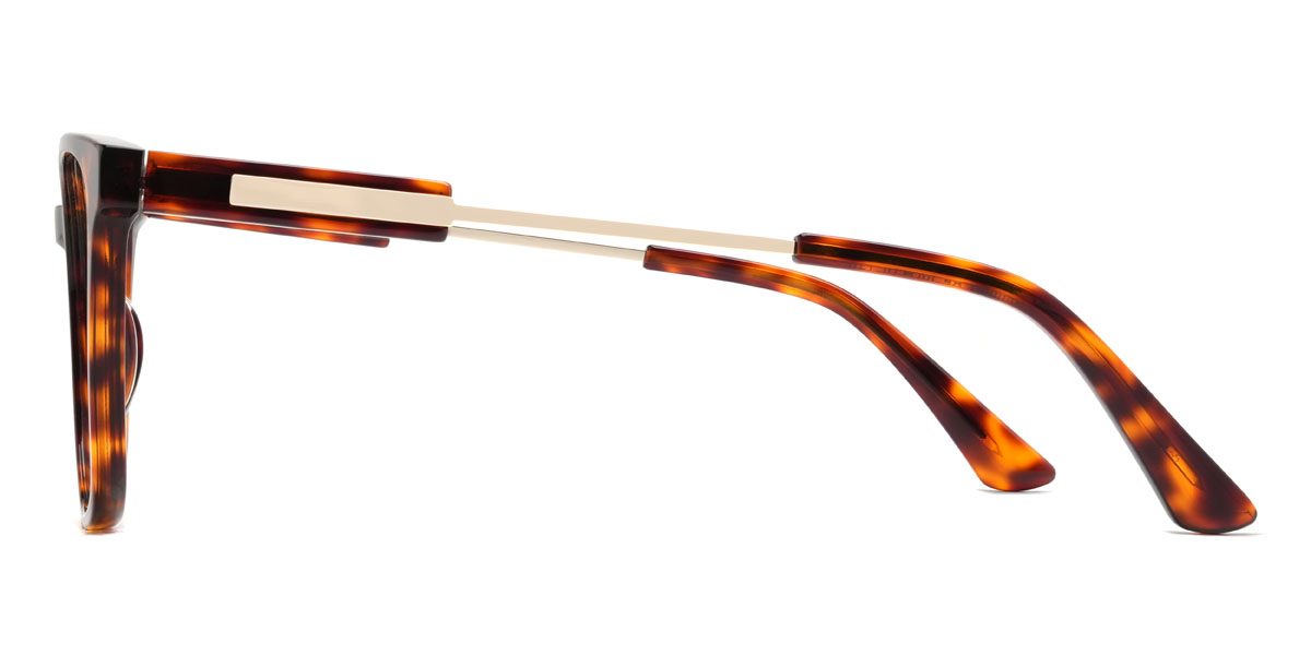 Schildpatt Draven Brille - Oval Glasses