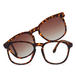 Tortoiseshell
