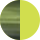Green/Tortoiseshell-Green