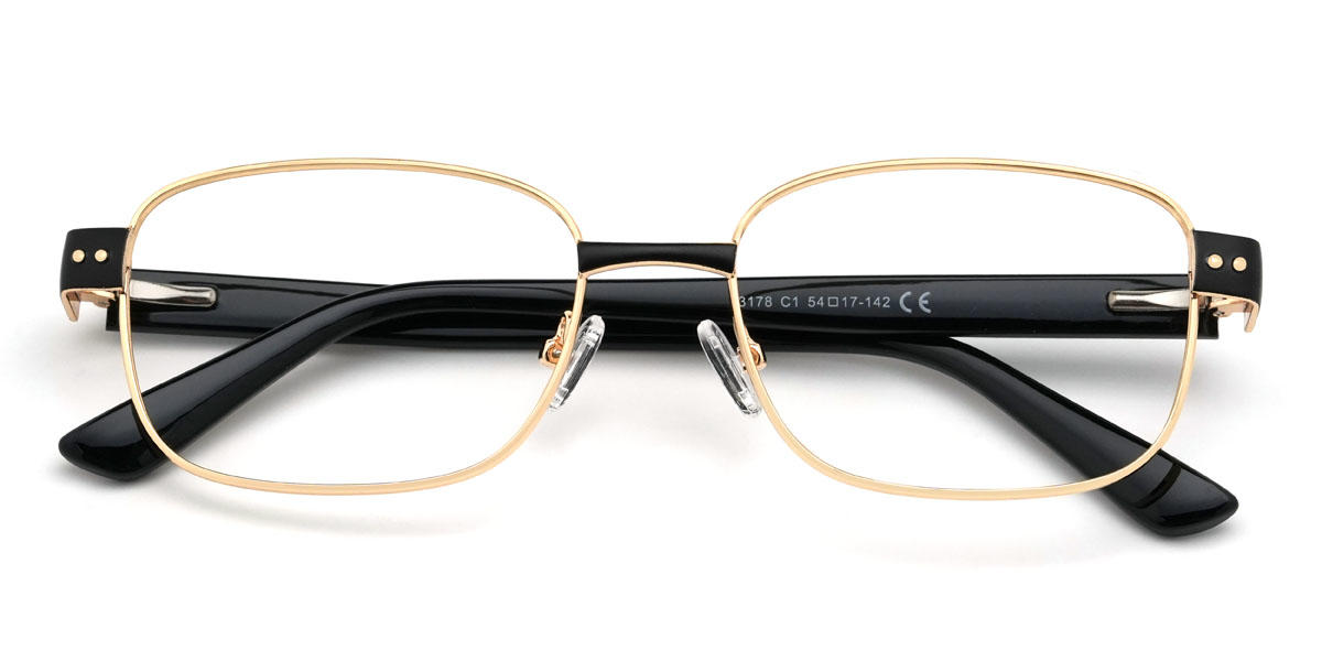 Gold Schwarz Berkeley Brille - Rectangle Glasses