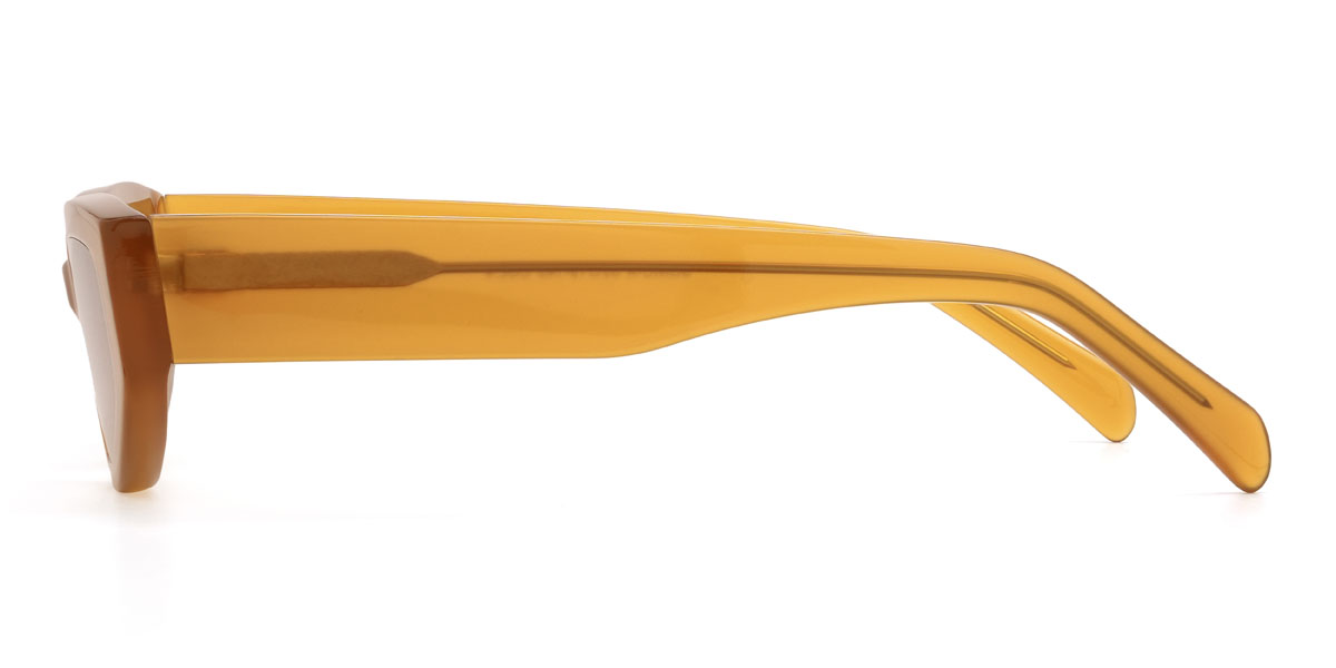 Marron Brun graduel Ameila Lunettes - Cat Eye Sunglasses