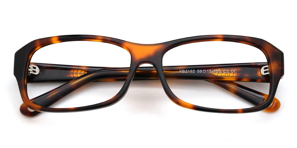 Tortoiseshell Iremide Glasses - Rectangle Glasses