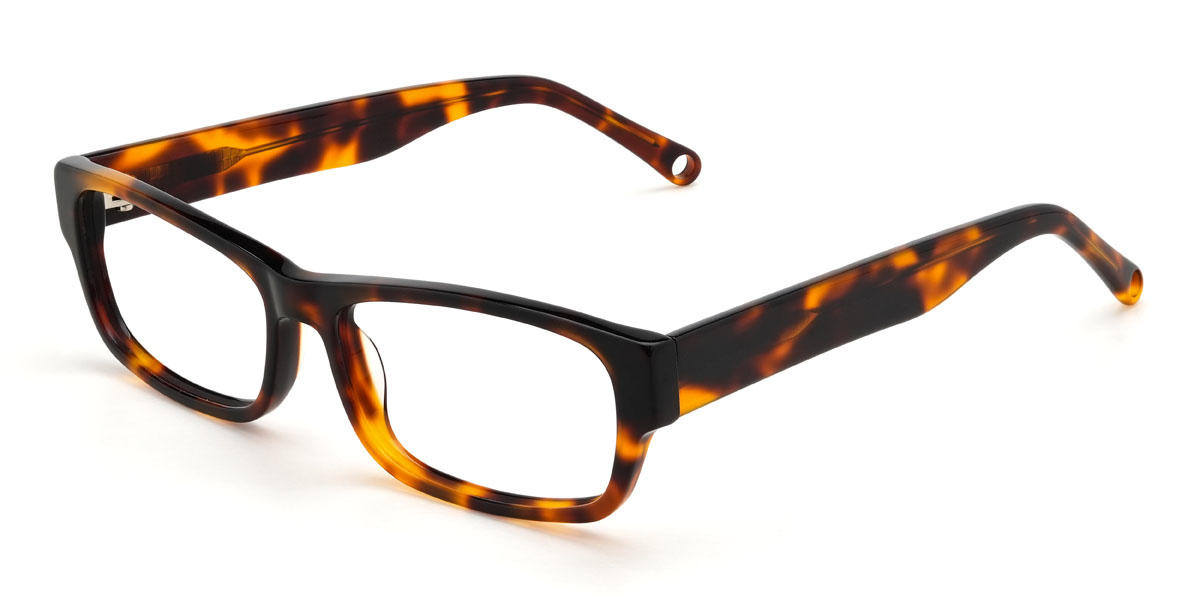 Tortoiseshell Bridger Glasses - Rectangle Glasses