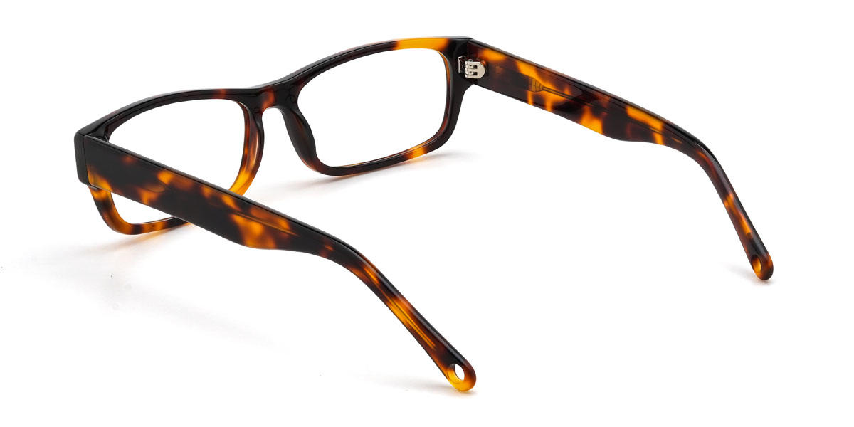 Tortoiseshell Bridger Glasses - Rectangle Glasses