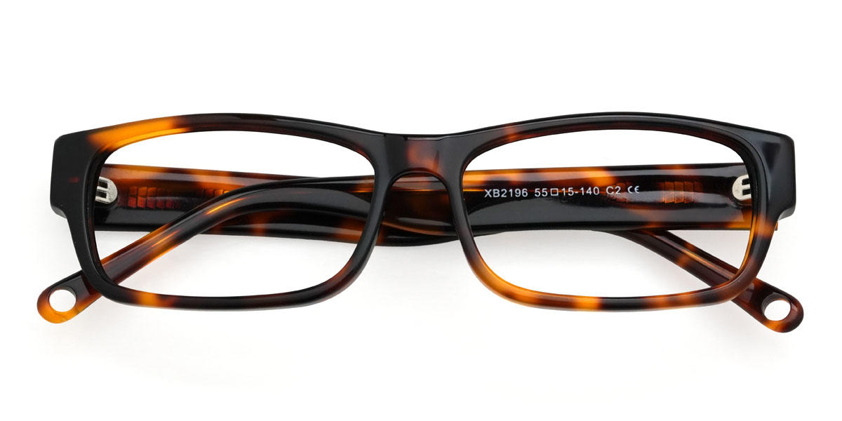 Tortoiseshell Bridger Glasses - Rectangle Glasses