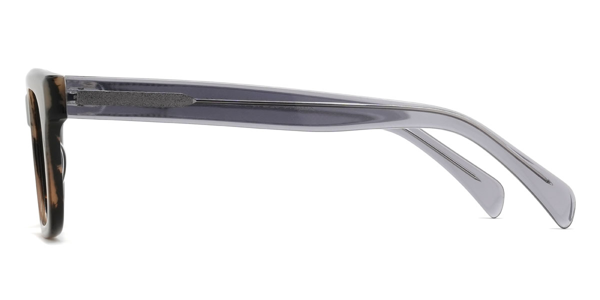 Brown Santino Glasses - Rectangle Glasses