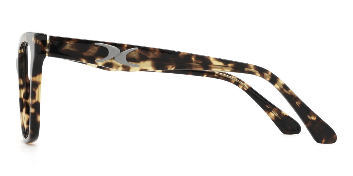 Tortoiseshell Marcelo Glasses - Square Glasses