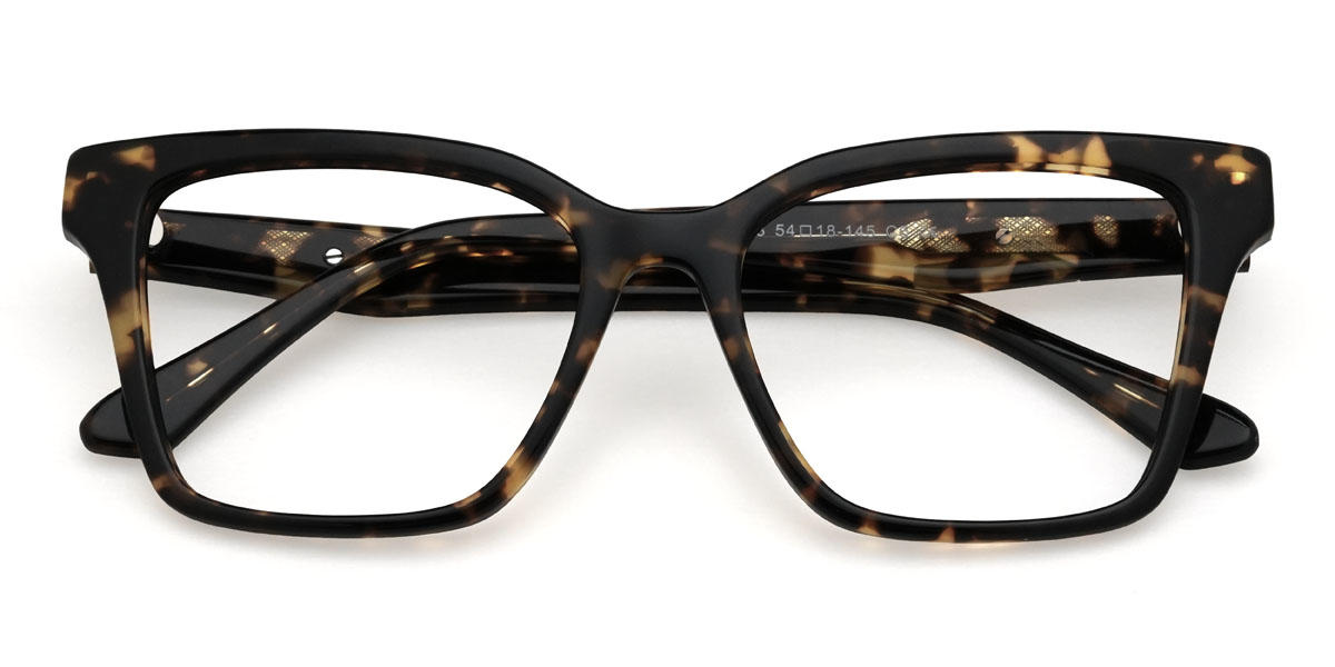 Tortoiseshell Marcelo Glasses - Square Glasses
