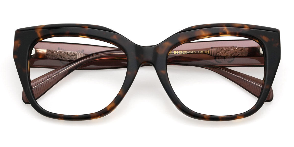 Tortoiseshell Blessing Glasses - Square Glasses