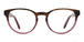Tortoiseshell-Purple