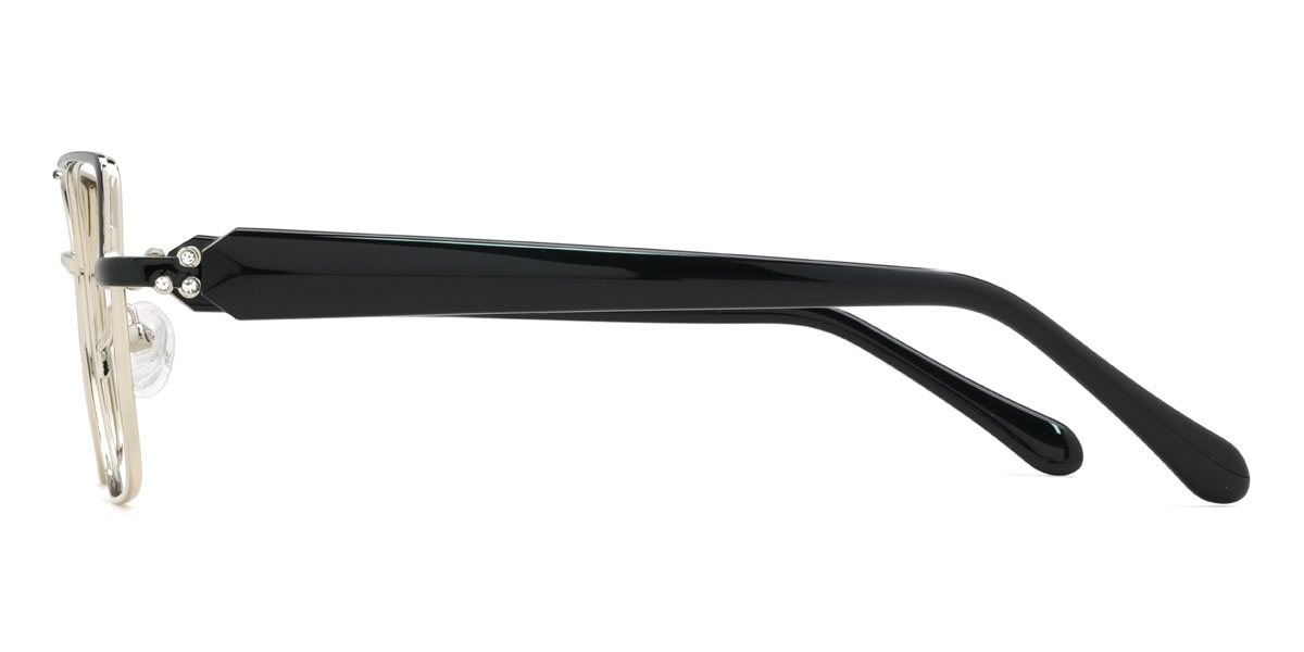Noir Argent Jayceon Lunettes - Rectangle Glasses