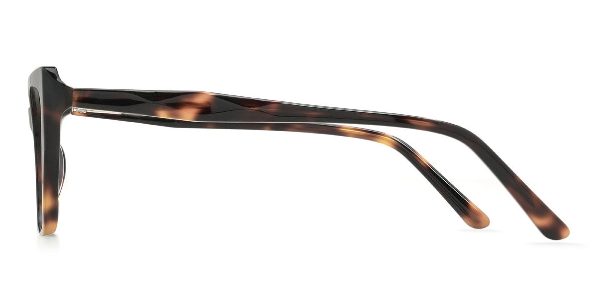 Tortoiseshell Anakin Glasses - Cat Eye Glasses
