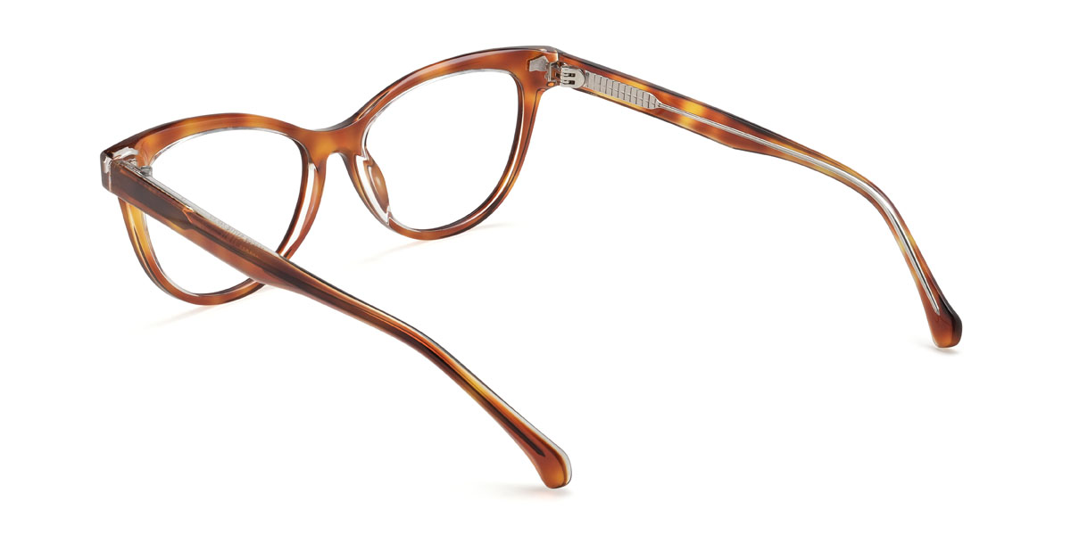 Marron Écaille de tortue Novalee Lunettes - Cat Eye Clip-On Sunglasses