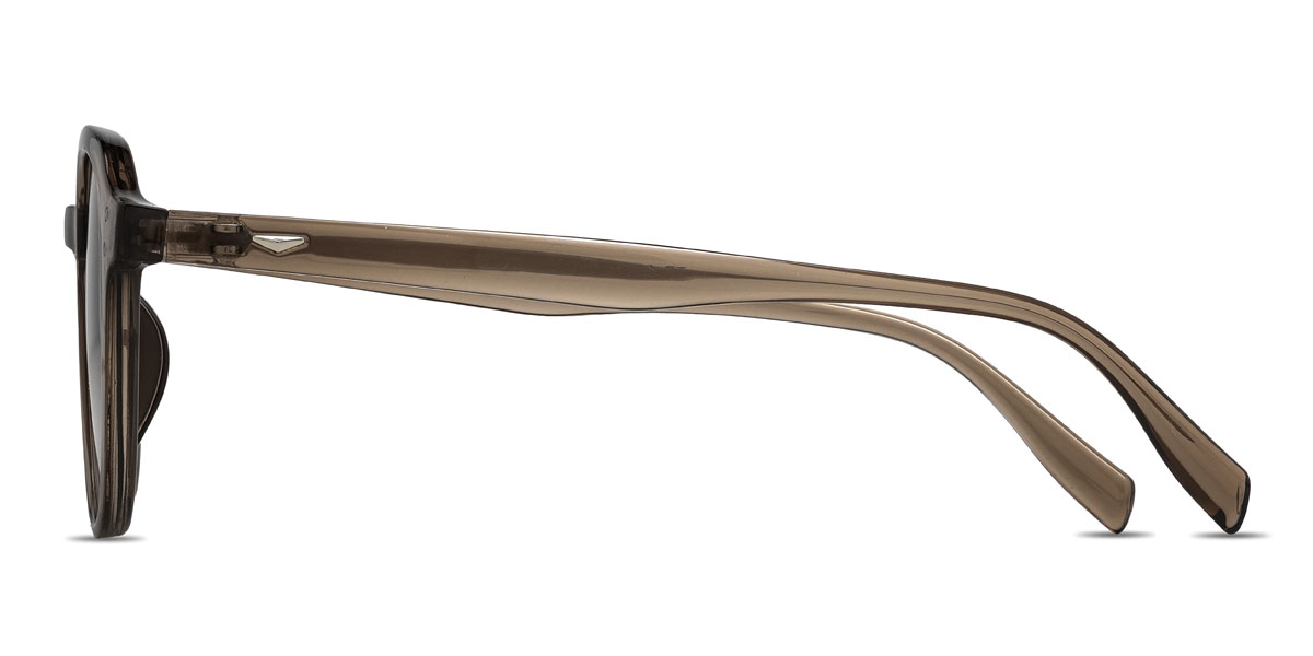 Marron Gris Reyansh Lunettes - Oval Sunglasses