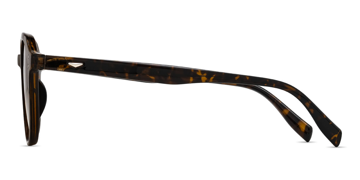 Écaille de tortue Gris Reyansh Lunettes - Oval Sunglasses