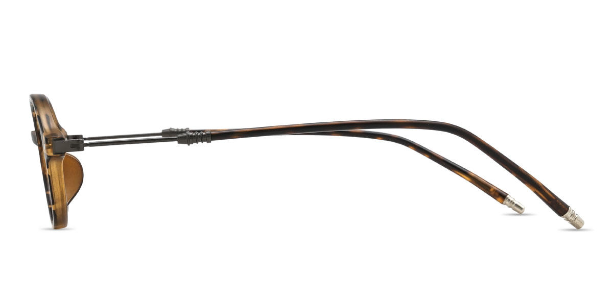 Tortoiseshell Davis Glasses - Oval Glasses