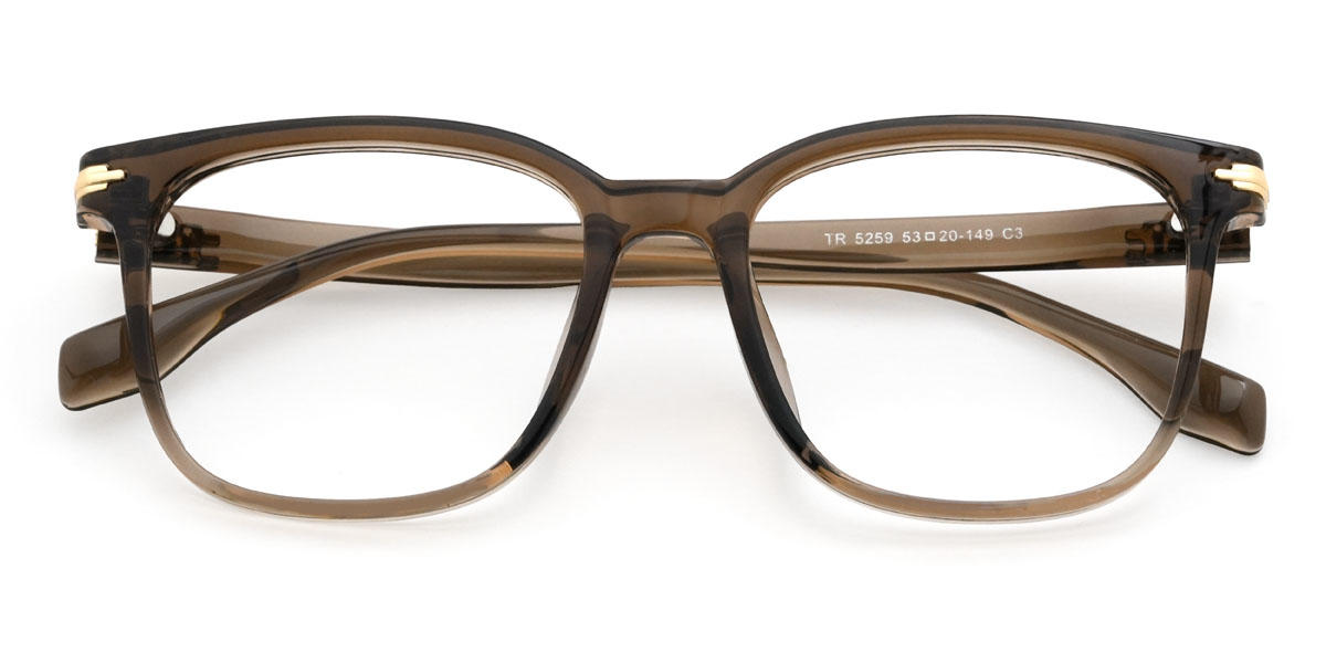 Gradient Brown Alaiya Glasses - Square Glasses