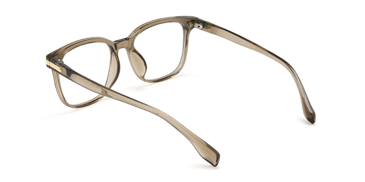 Brown Alaiya Glasses - Square Glasses