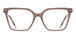 Cameo/Brown