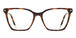 Tortoiseshell
