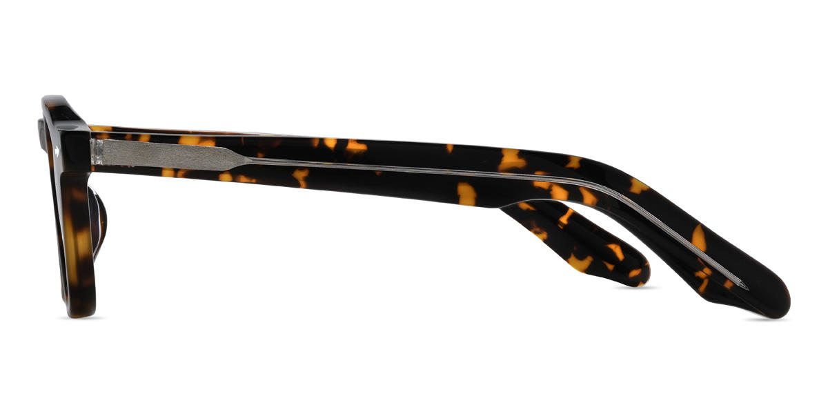 Tortoiseshell Dark Green Breyon Glasses - Oval Sunglasses