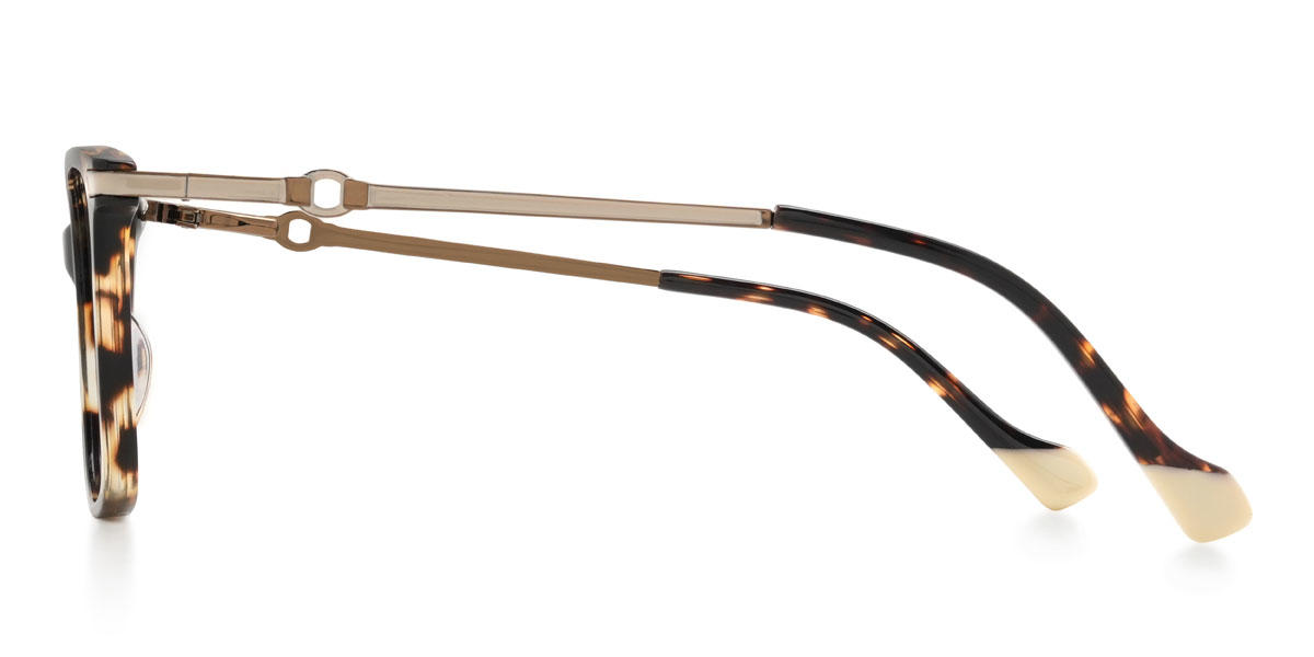 Tortoiseshell Samaira Glasses - Rectangle Glasses
