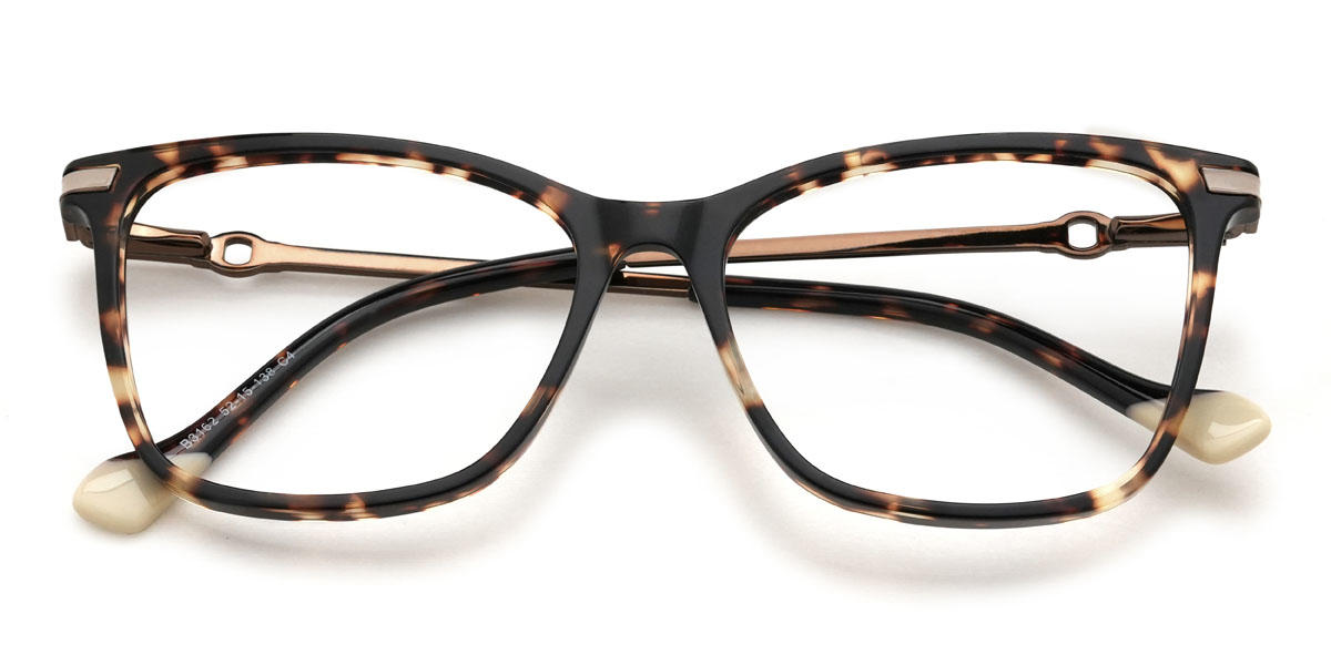 Tortoiseshell Samaira Glasses - Rectangle Glasses