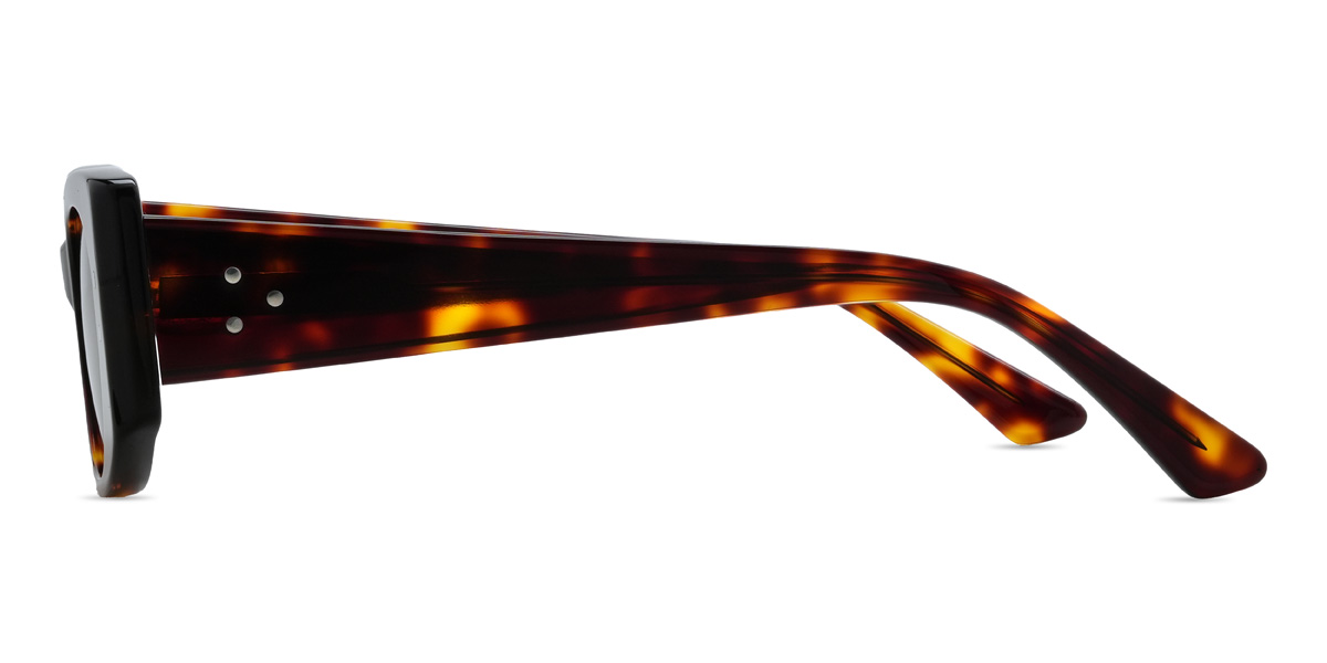 Tortoiseshell Brown Camdyn Glasses - Rectangle Sunglasses