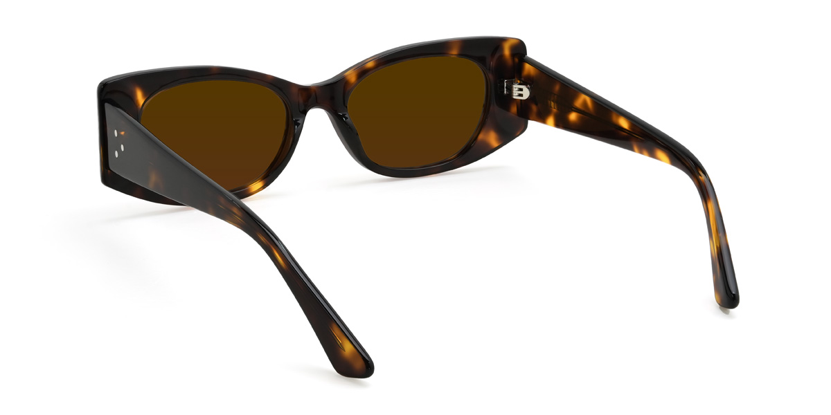 Tortoiseshell Brown Camdyn Glasses - Rectangle Sunglasses