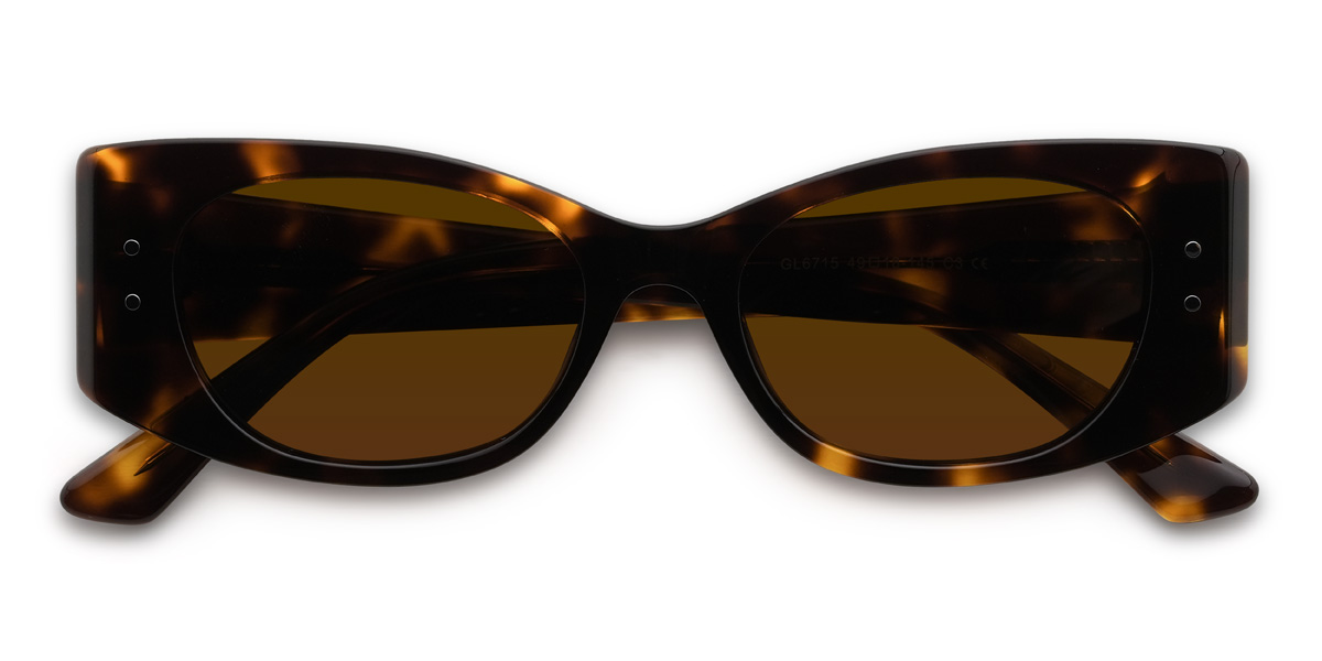 Tortoiseshell Brown Camdyn Glasses - Rectangle Sunglasses