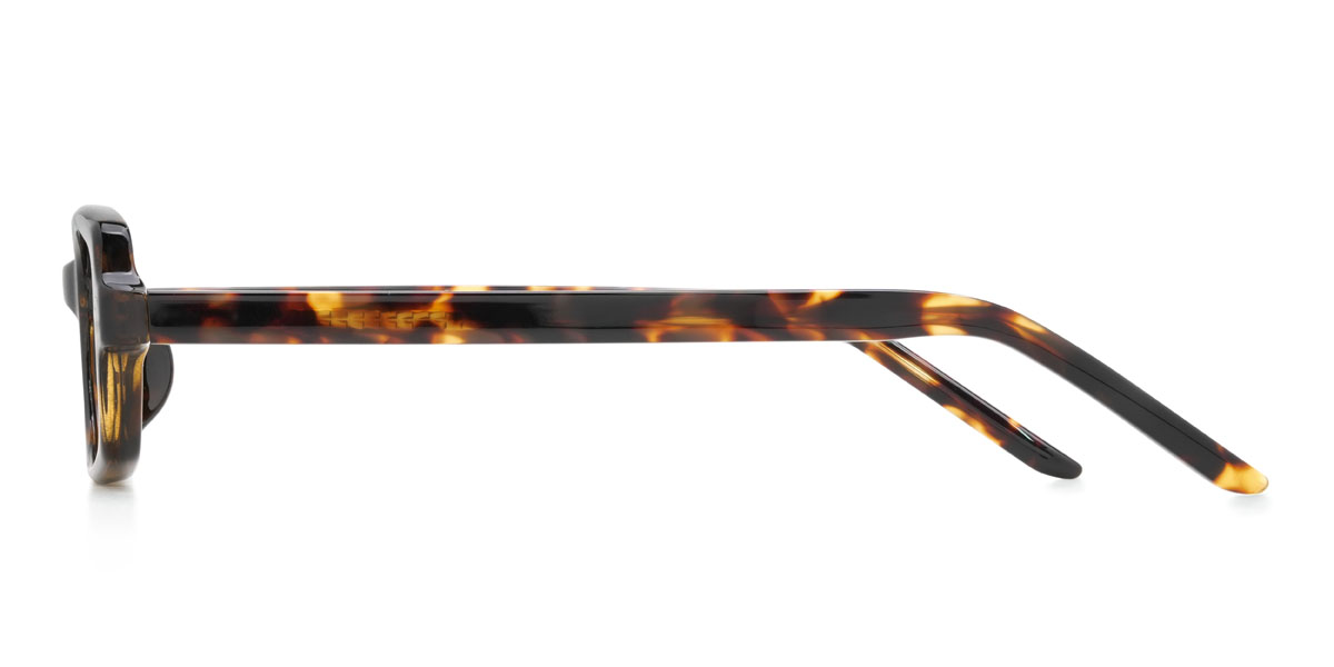 Tortoiseshell Krish Glasses - Rectangle Glasses