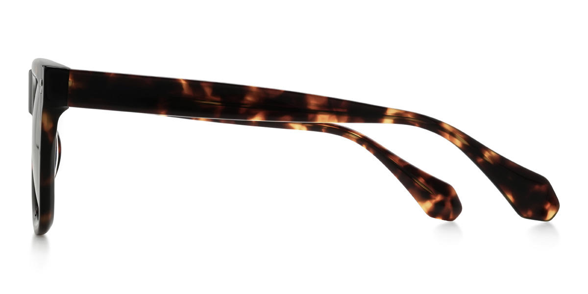 Tortoiseshell Brown Matheo Glasses - Square Sunglasses