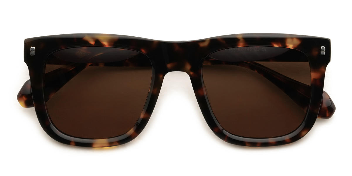 Tortoiseshell Brown Matheo Glasses - Square Sunglasses