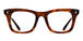 Tortoiseshell