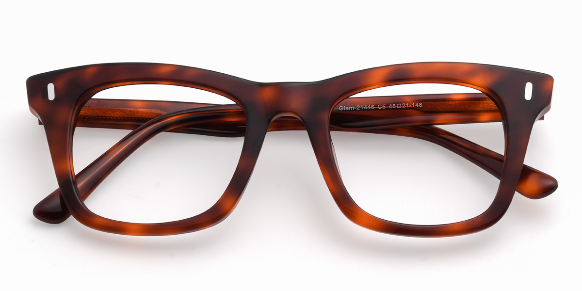 Tortoiseshell Dalilah Glasses - Rectangle Glasses
