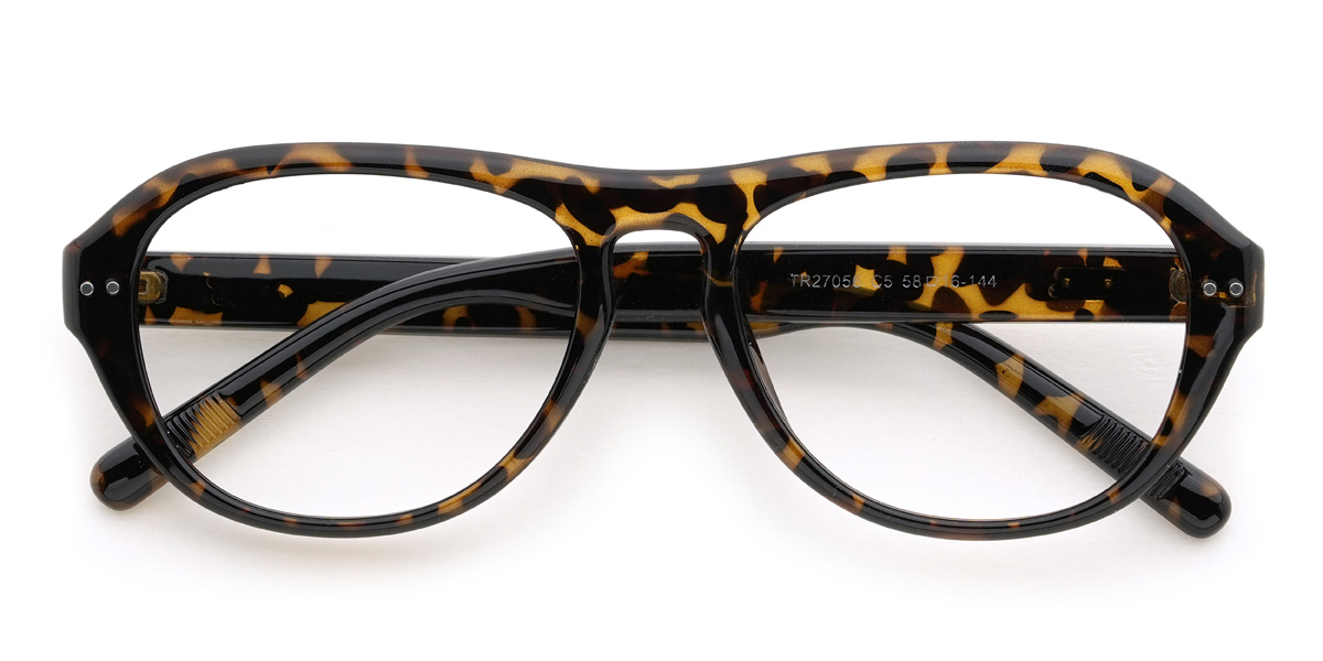Tortoiseshell Kamdyn Glasses - Oval Glasses