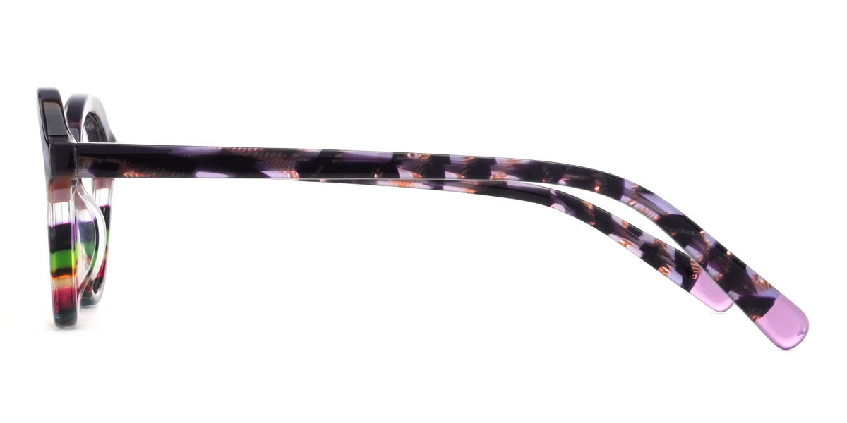 Violet Écaille de tortue Multicolore Alfredo Lunettes - Oval Glasses