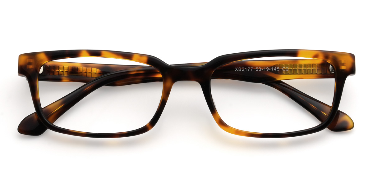 Tortoiseshell Micaiah Glasses - Rectangle Glasses