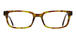Red-Green/Tortoiseshell