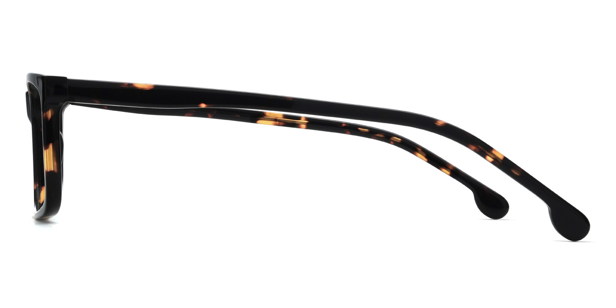 Tortoiseshell Tiago Glasses - Rectangle Glasses