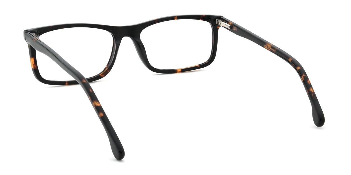 Tortoiseshell Tiago Glasses - Rectangle Glasses